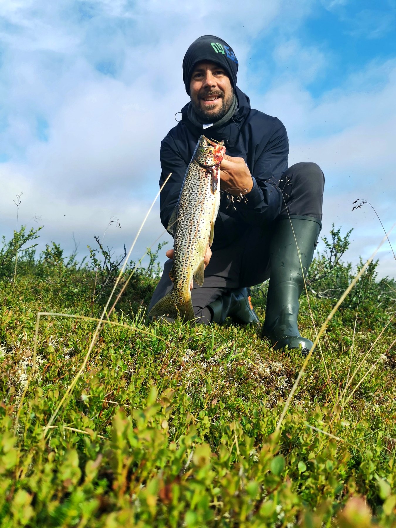 Wild brown trout from the northern tundra